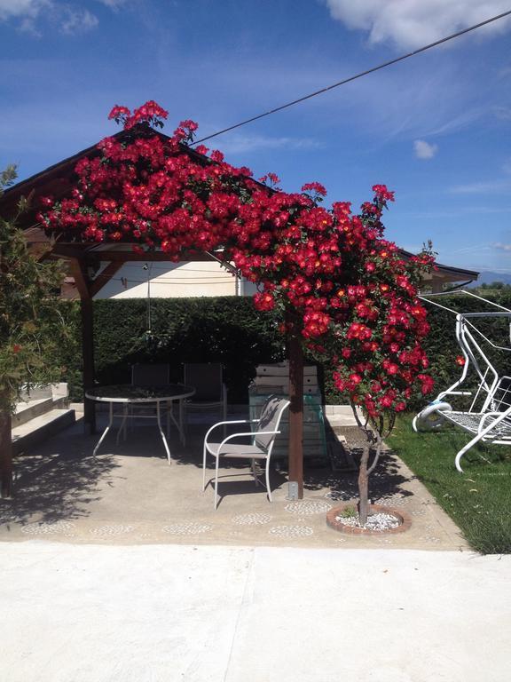 Bed and Breakfast La Quercia Cosenza Exterior foto